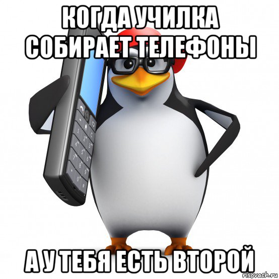 когда училка собирает телефоны а у тебя есть второй, Мем   Пингвин звонит