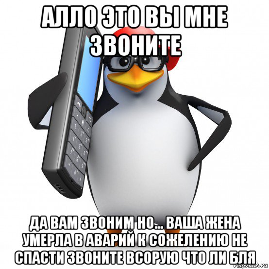 алло это вы мне звоните да вам звоним но... ваша жена умерла в аварий к сожелению не спасти звоните всорую что ли бля, Мем   Пингвин звонит