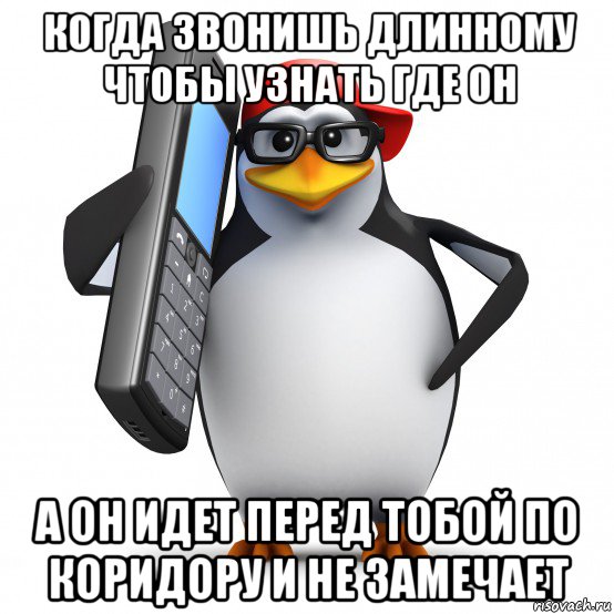 когда звонишь длинному чтобы узнать где он а он идет перед тобой по коридору и не замечает, Мем   Пингвин звонит