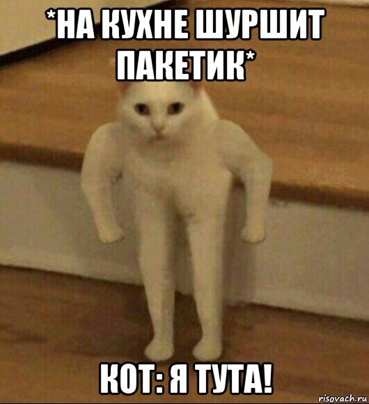 *на кухне шуршит пакетик* кот: я тута!, Мем  Полукот