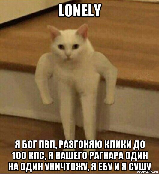 lonely я бог пвп, разгоняю клики до 100 кпс, я вашего рагнара один на один уничтожу, я ебу и я сушу, Мем  Полукот