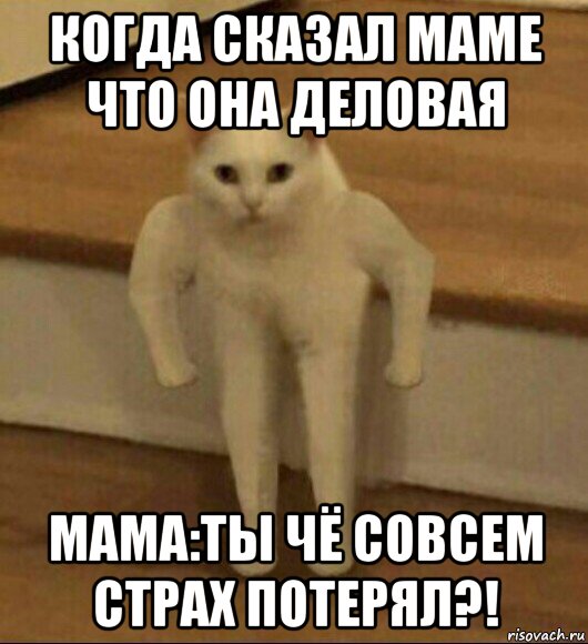 когда сказал маме что она деловая мама:ты чё совсем страх потерял?!, Мем  Полукот