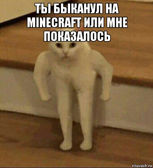 ты быканул на minecraft или мне показалось , Мем  Полукот