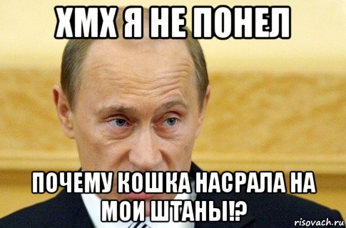 хмх я не понел почему кошка насрала на мои штаны!?, Мем путин