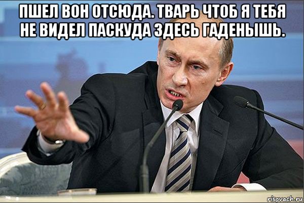 пшел вон отсюда. тварь чтоб я тебя не видел паскуда здесь гаденышь. 