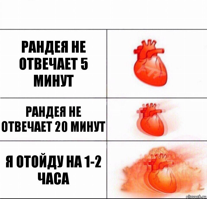 Рандея не отвечает 5 минут Рандея не отвечает 20 минут Я отойду на 1-2 часа