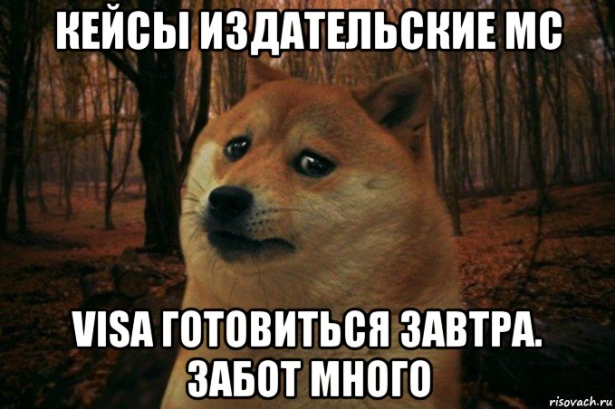 кейсы издательские mc visa готовиться завтра. забот много, Мем SAD DOGE