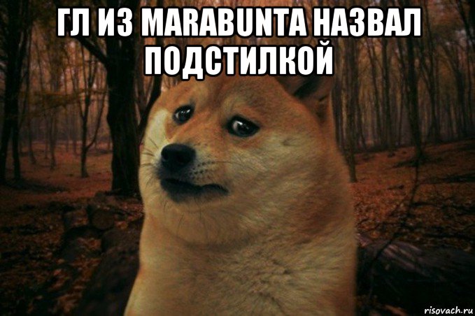 гл из marabunta назвал подстилкой , Мем SAD DOGE