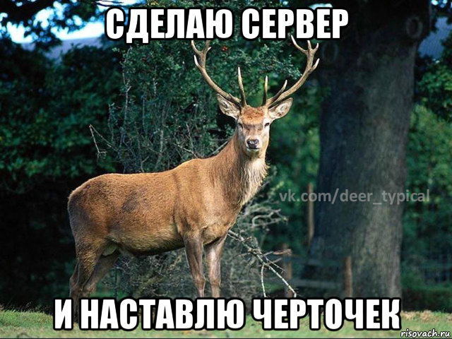 сделаю сервер и наставлю черточек