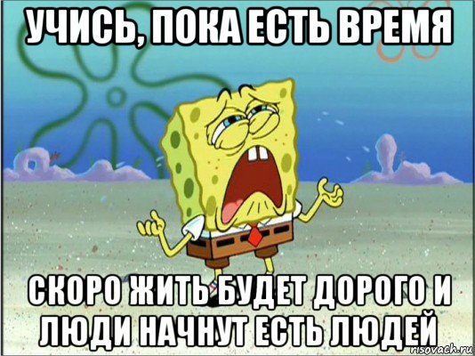 учись, пока есть время скоро жить будет дорого и люди начнут есть людей, Мем Спанч Боб плачет