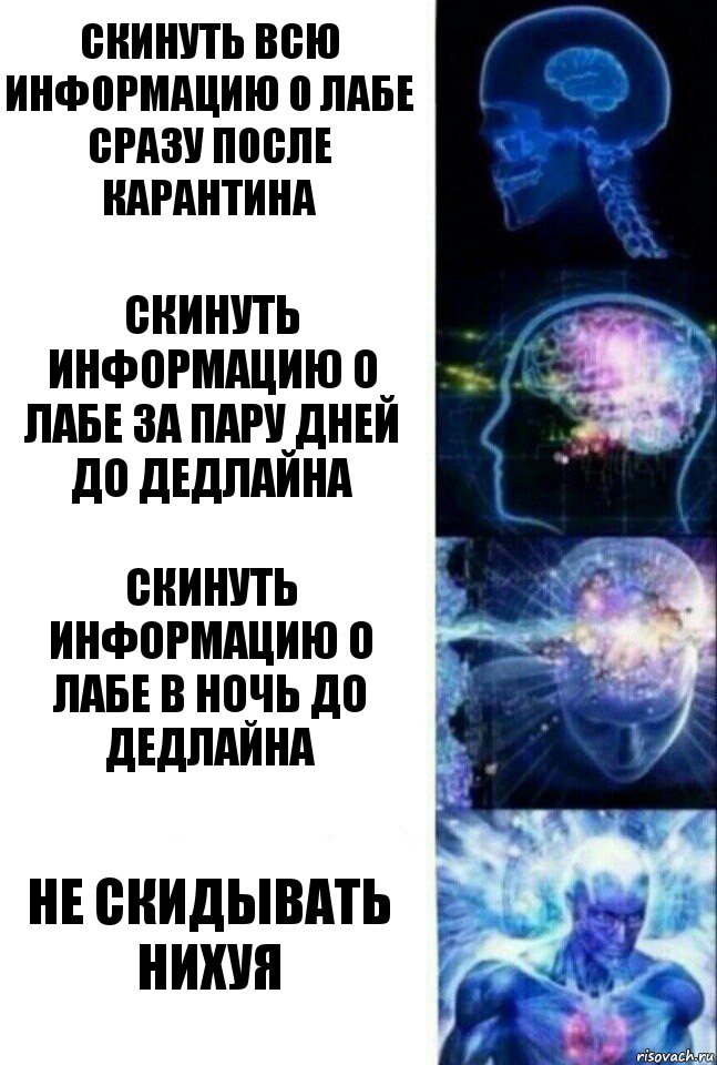 Скинуть всю информацию о лабе сразу после карантина Скинуть информацию о лабе за пару дней до дедлайна Скинуть информацию о лабе в ночь до дедлайна Не скидывать нихуя, Комикс  Сверхразум