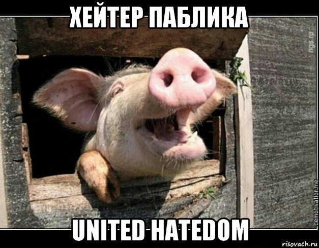 хейтер паблика united hatedom, Мем Свинья