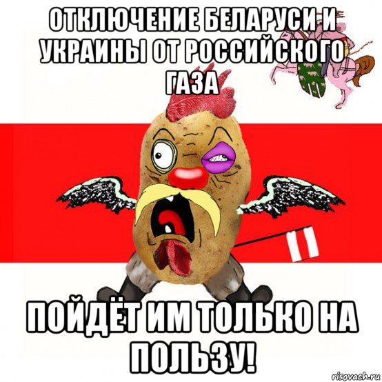 отключение беларуси и украины от российского газа пойдёт им только на пользу!, Мем свядомы эмагар в ярости