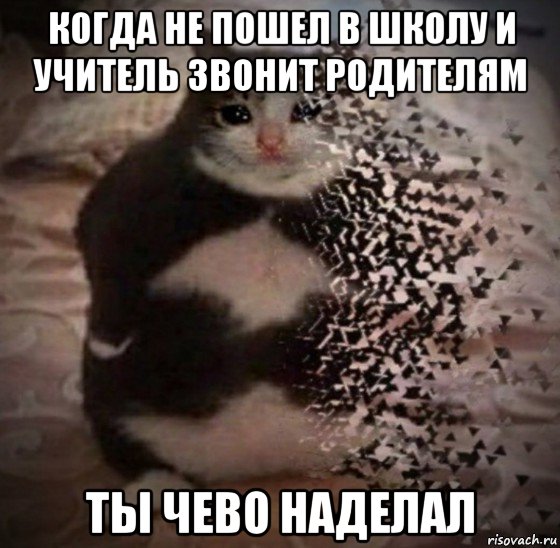 когда не пошел в школу и учитель звонит родителям ты чево наделал, Мем Ты чево наделал