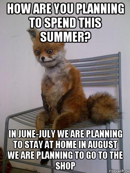 how are you planning to spend this summer? in june-july we are planning to stay at home in august we are planning to go to the shop, Мем Упоротая лиса