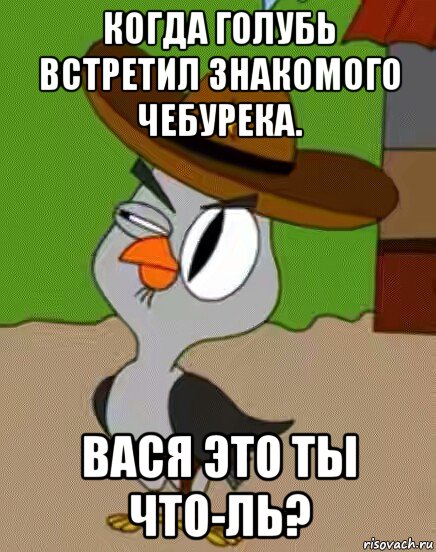 когда голубь встретил знакомого чебурека. вася это ты что-ль?