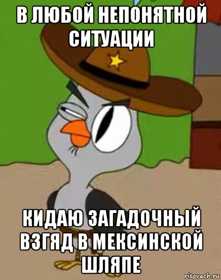 в любой непонятной ситуации кидаю загадочный взгяд в мексинской шляпе, Мем    Упоротая сова