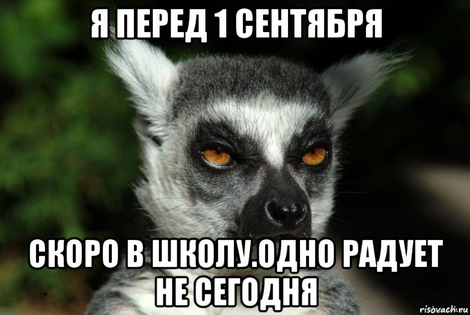 я перед 1 сентября скоро в школу.одно радует не сегодня, Мем   Я збагоен