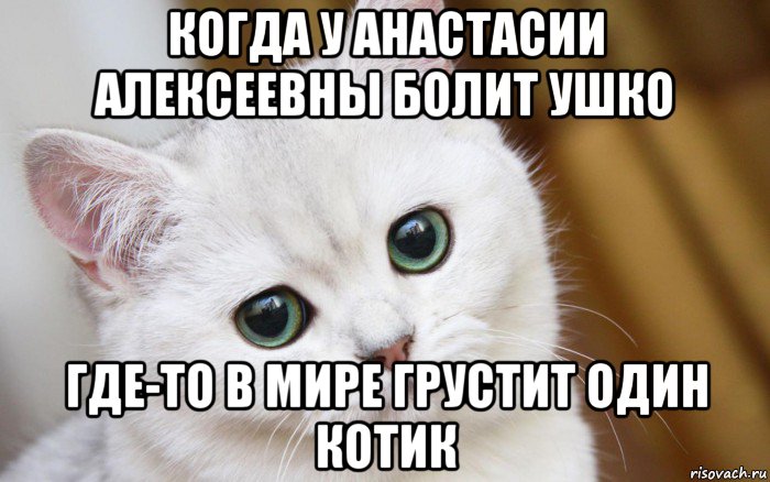 когда у анастасии алексеевны болит ушко где-то в мире грустит один котик, Мем  В мире грустит один котик