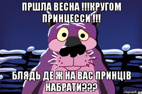 пршла весна !!!кругом принцесси !!! блядь де ж на вас принців набрати???, Мем Волк