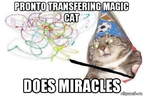 pronto transfering magic cat does miracles, Мем Вжух мем