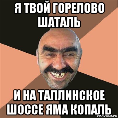 я твой горелово шаталь и на таллинское шоссе яма копаль, Мем Я твой дом труба шатал