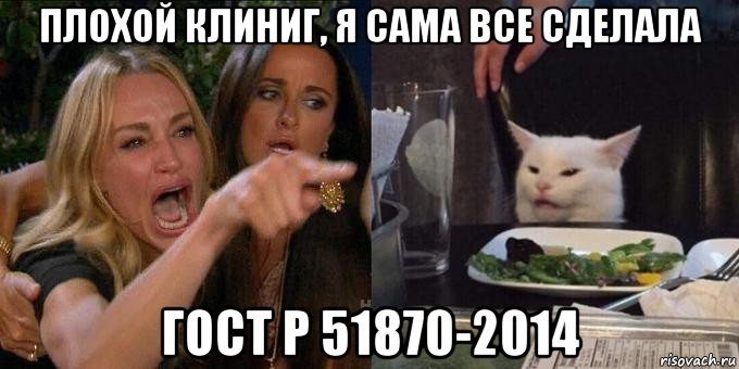 плохой клиниг, я сама все сделала гост р 51870-2014, Мем Женщина орёт на кота