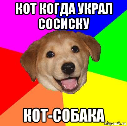 кот когда украл сосиску кот-собака, Мем Advice Dog