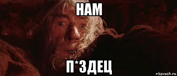 нам п*здец, Мем бегите глупцы