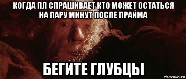 когда пл спрашивает кто может остаться на пару минут после прайма бегите глубцы, Мем бегите глупцы