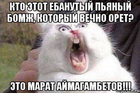 кто этот ебанутый пьяный бомж, который вечно орет? это марат аймагамбетов!!!