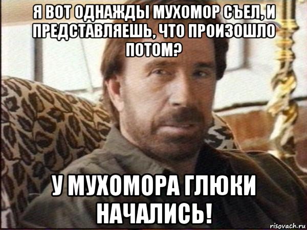 я вот однажды мухомор съел, и представляешь, что произошло потом? у мухомора глюки начались!