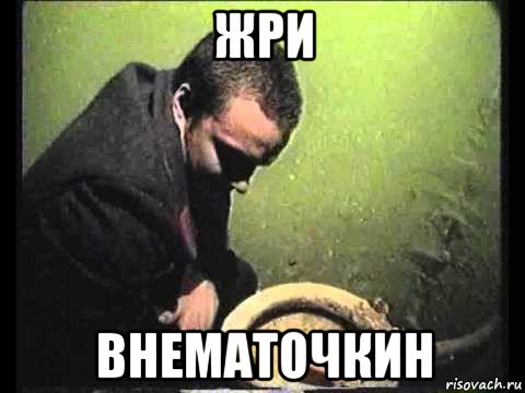 жри внематочкин, Мем чисти говно