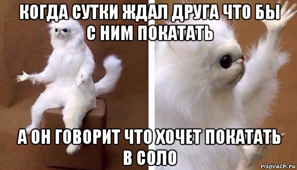 когда сутки ждал друга что бы с ним покатать а он говорит что хочет покатать в соло, Мем Чучело кота