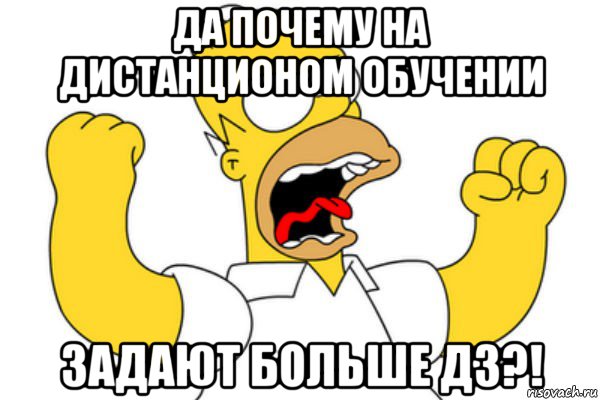 да почему на дистанционом обучении задают больше дз?!, Мем Разъяренный Гомер