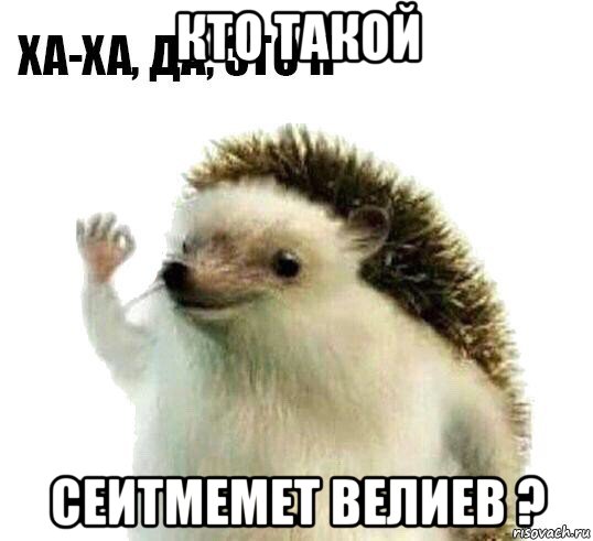 кто такой сеитмемет велиев ?, Мем Ха-ха да это я