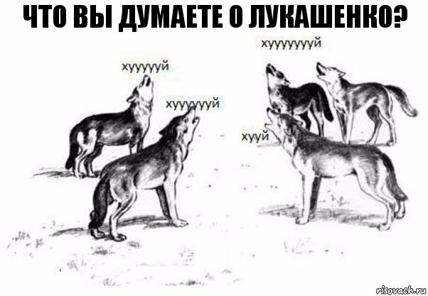 Что вы думаете о Лукашенко?