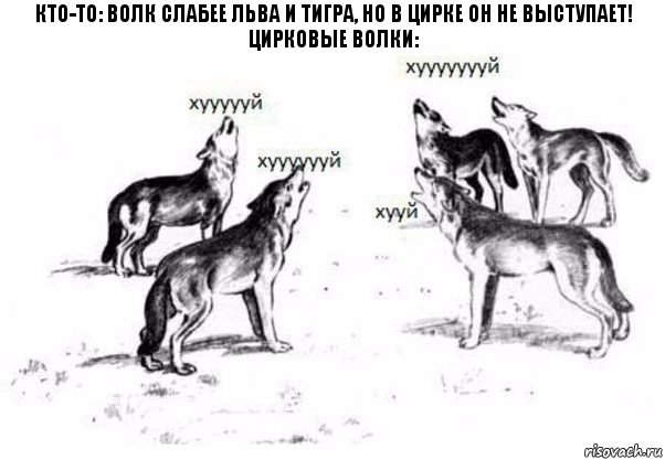 Кто-то: волк слабее льва и тигра, но в цирке он не выступает! Цирковые волки:, Комикс Когда хочешь