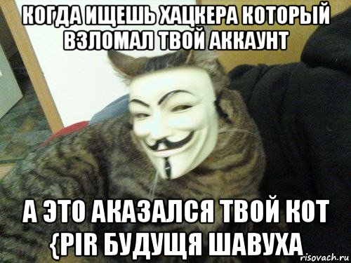 когда ищешь хацкера который взломал твой аккаунт а это аказался твой кот {pir будущя шавуха, Мем Кот анонимус