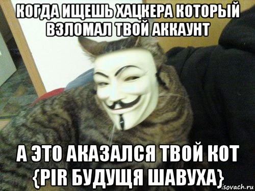 когда ищешь хацкера который взломал твой аккаунт а это аказался твой кот {pir будущя шавуха}, Мем Кот анонимус