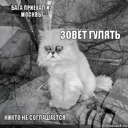 Бага приехал из Москвы  зовёт гулять Никто не соглашается      , Комикс  кот безысходность