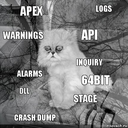 apex 64bit api crash dump alarms logs stage warnings dll inquiry, Комикс  кот безысходность