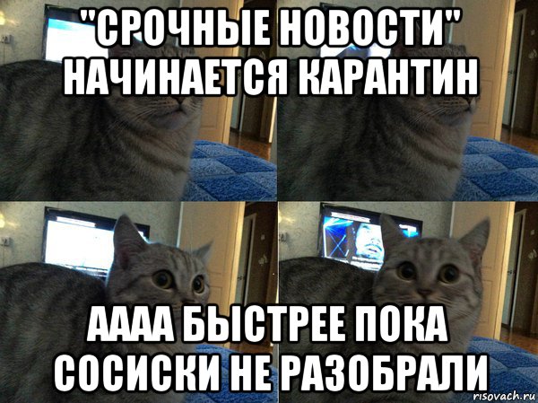 "срочные новости" начинается карантин аааа быстрее пока сосиски не разобрали