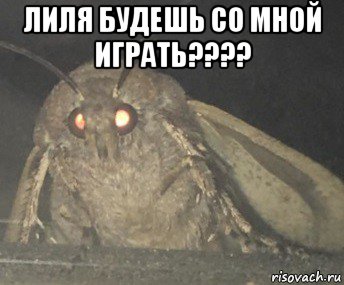 лиля будешь со мной играть???? , Мем Матылёк