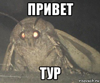 привет тур, Мем Матылёк