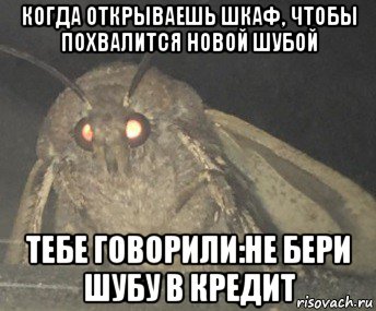 когда открываешь шкаф, чтобы похвалится новой шубой тебе говорили:не бери шубу в кредит, Мем Матылёк