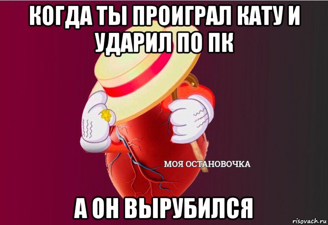 когда ты проиграл кату и ударил по пк а он вырубился, Мем   Моя остановочка