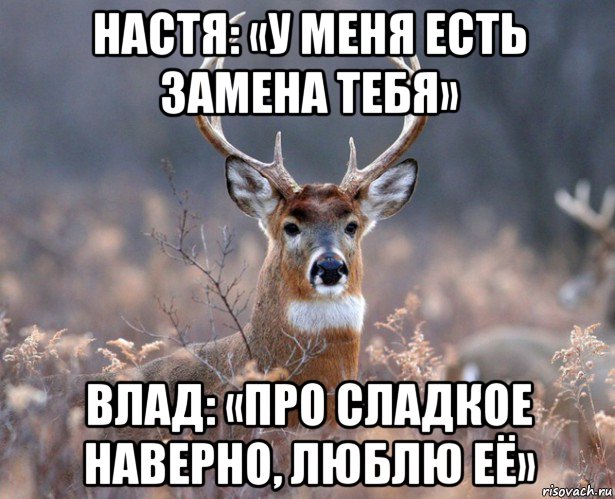 настя: «у меня есть замена тебя» влад: «про сладкое наверно, люблю её», Мем   Наивный олень