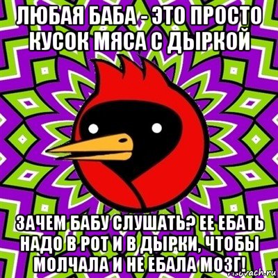 любая баба - это просто кусок мяса с дыркой зачем бабу слушать? ее ебать надо в рот и в дырки, чтобы молчала и не ебала мозг!, Мем Омская птица