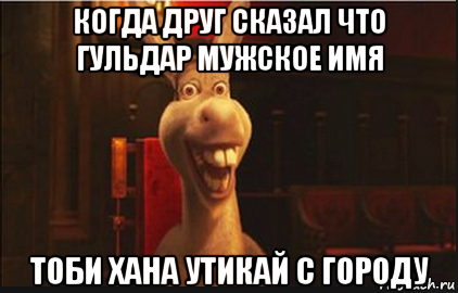 когда друг сказал что гульдар мужское имя тоби хана утикай с городу, Мем Осел из Шрека